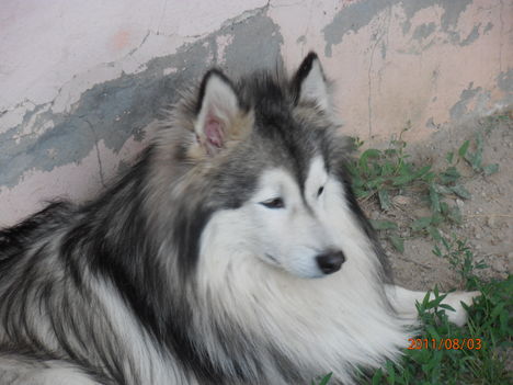 emi képek 038