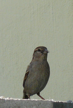 P1110833