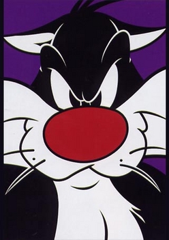 sylvester8