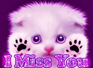 www.tvn.hu_9eb1020deff1fcb5ebce866e07bd820c