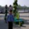_IGP2486_web