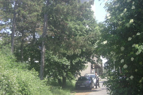 DSC00003
