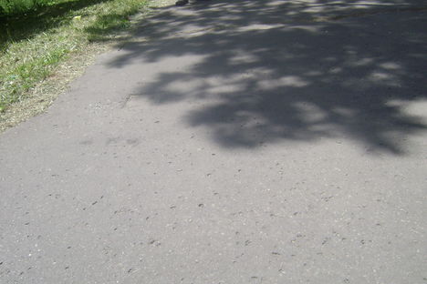 DSC00009