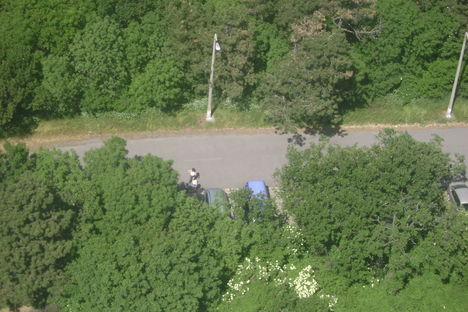 DSC00013