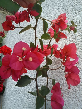 DSC00836