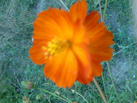 Kép360