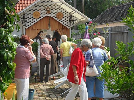 Szekszárdi Babits Müvelődési ház Platán nyugdí 10