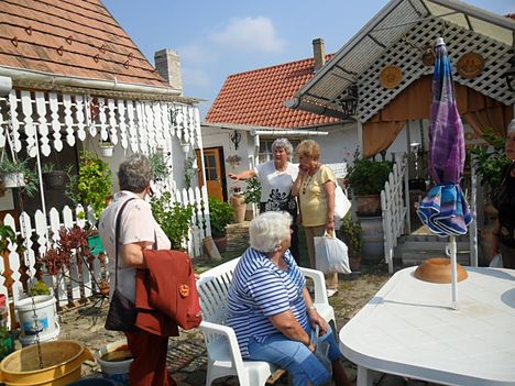 Szekszárdi Babits Müvelődési ház Platán nyugdí 5
