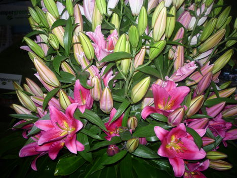 2011 10