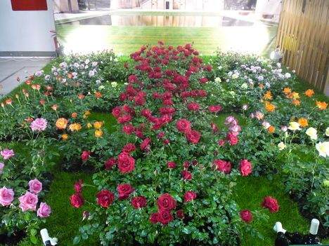 2011 2