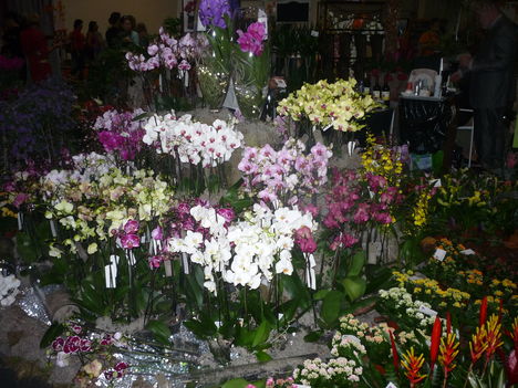 2011 2
