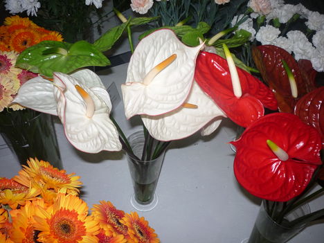 2011 4