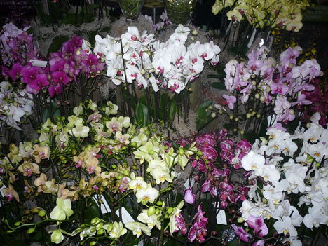 2011 5