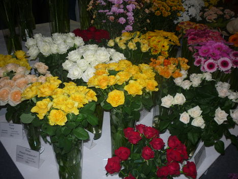 2011 7