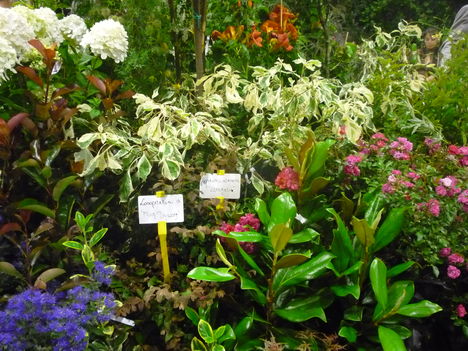 2011 9
