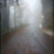 BIG_0008394080