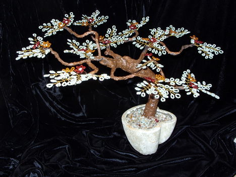 új bonsai