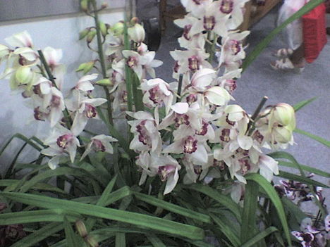  072