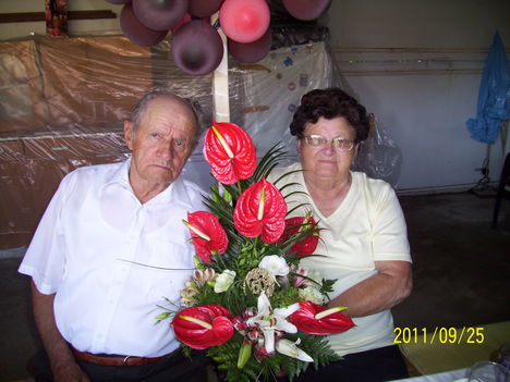 100_2011