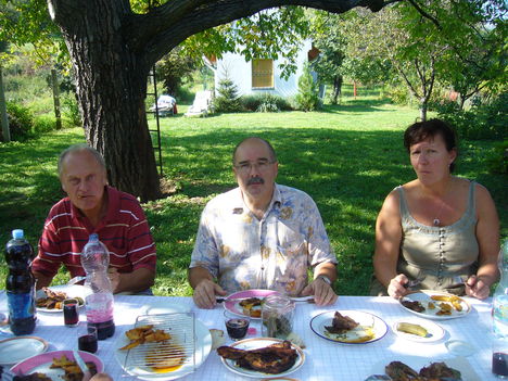 2011