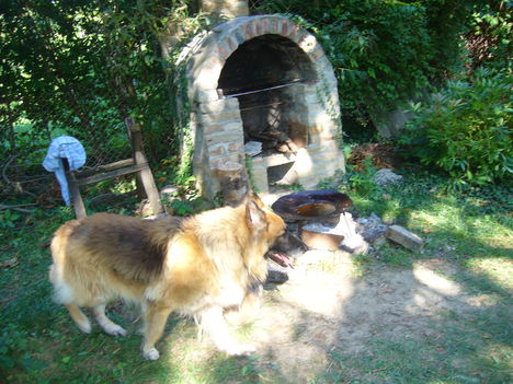 2011