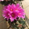 DSCF4885