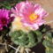 DSCF4893
