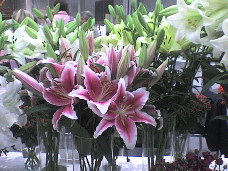 liliom