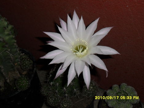 SAM_0643
