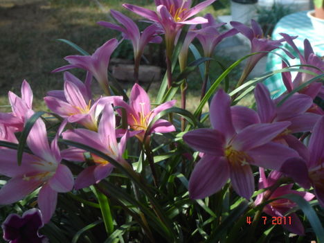 photo  canyon  webcamera 212