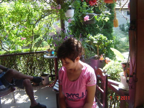 photo  canyon  webcamera 220