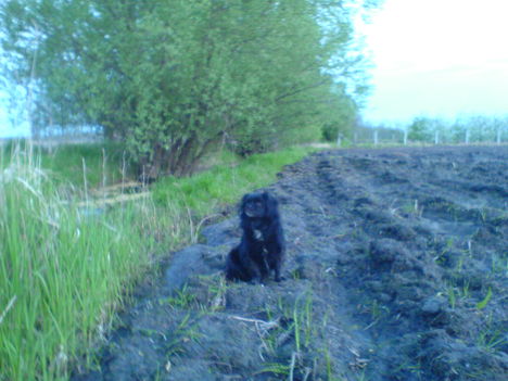 Sunyi