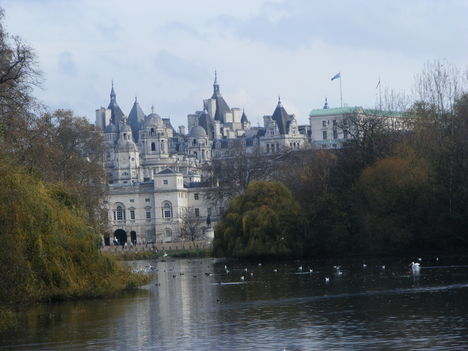 2009_11202009nov0330