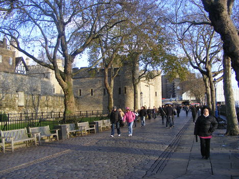 2009_11202009nov0618