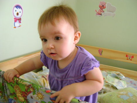 DSC01520