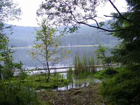 Erdélyben (42)