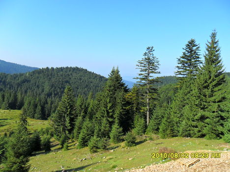SAM_0319