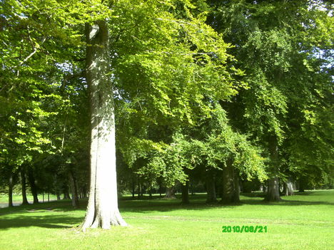 PICT0260