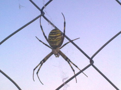 20100814222