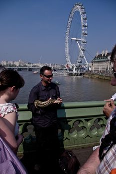 _IGP2465_web