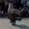 _IGP2507_web