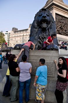 _IGP2531_web