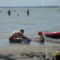 Balaton 1