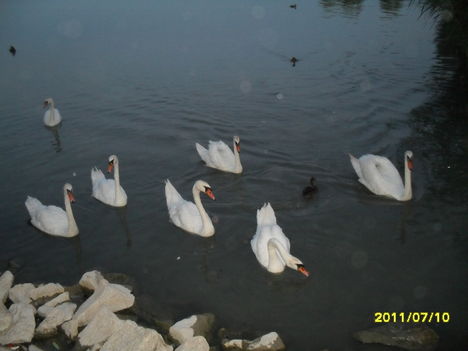 Balaton 3