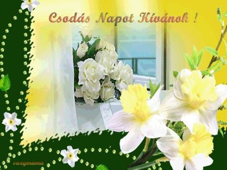 joreggelt_csodas_napot_1155881_7264_n