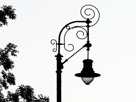 P1690619cc
