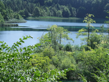 Plitvicka Jezera (34)