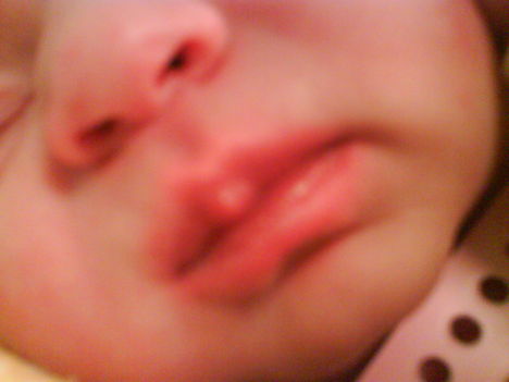 DSC00048