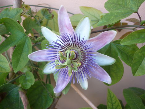 P1080134