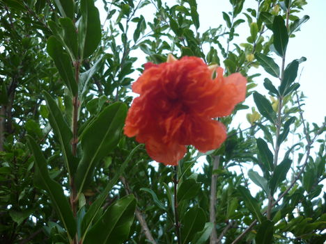 P1080137